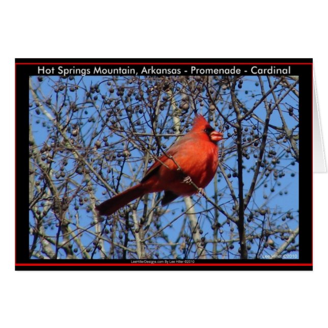 Hot Springs Mountain Promenade  Cardinal Gifts (Front Horizontal)