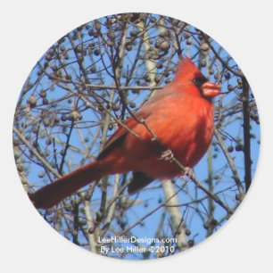 Hot Springs Mountain Promenade  Cardinal Gifts Classic Round Sticker