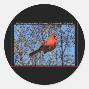 Hot Springs Mountain Promenade  Cardinal Gifts Classic Round Sticker