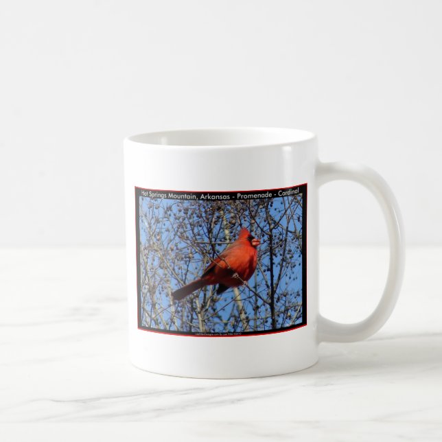 Hot Springs Mountain Promenade  Cardinal Gifts Coffee Mug (Right)