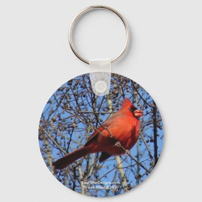 Hot Springs Mountain Promenade  Cardinal Gifts Key Ring (Front)