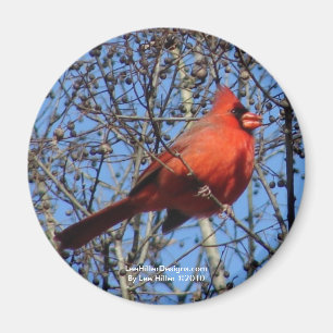 Hot Springs Mountain Promenade  Cardinal Gifts Magnet