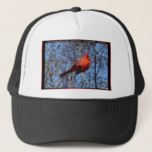 Hot Springs Mountain Promenade Cardinal Gifts Trucker Hat