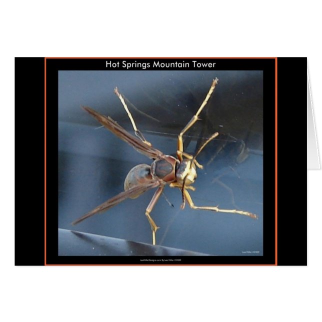 Hot Springs Mountain Wasp Gift & Aparel (Front Horizontal)