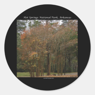 Hot Springs National Park, AR Above the Promenade Classic Round Sticker