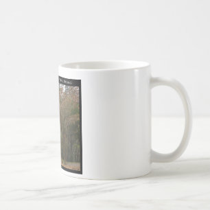 Hot Springs National Park, AR Above the Promenade Coffee Mug
