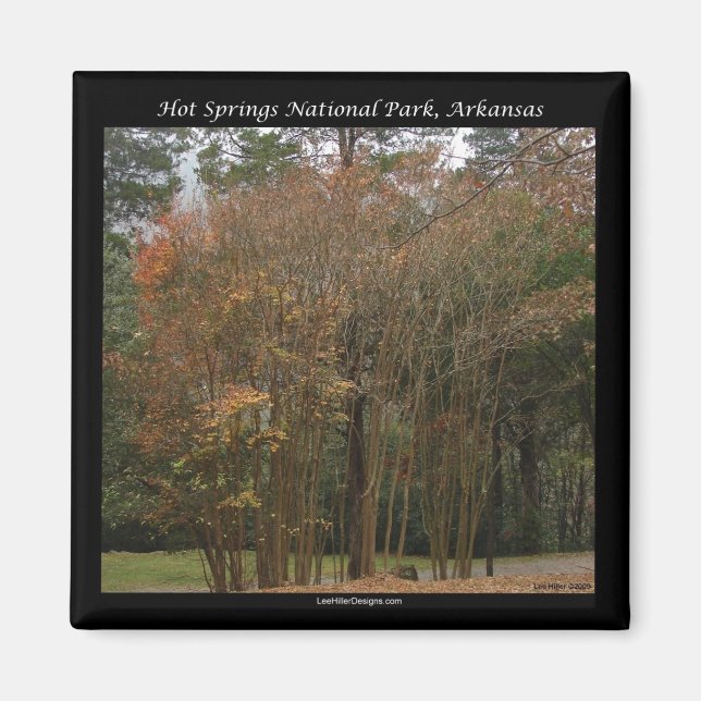 Hot Springs National Park, AR Above the Promenade Magnet (Front)