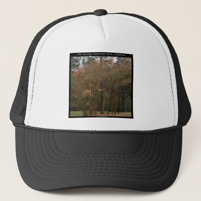Hot Springs National Park, AR Above the Promenade Trucker Hat (Front)