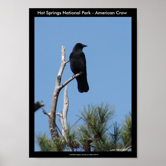Hot Springs National Park, AR - American Crow Poster (Front)