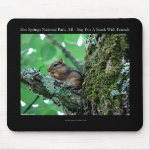 Hot Springs National Park, AR Chipmunk Snack Gifts Mouse Mat