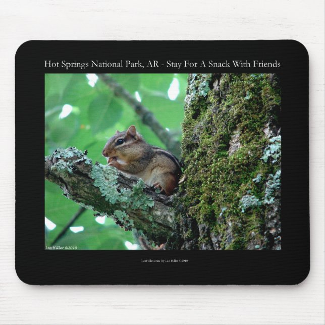 Hot Springs National Park, AR Chipmunk Snack Gifts Mouse Mat (Front)