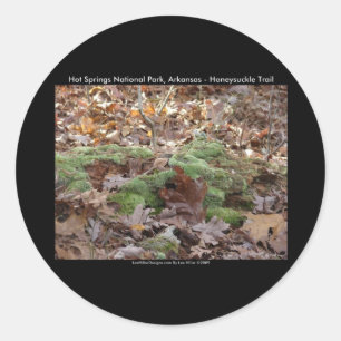 Hot Springs National Park, AR - Honeysuckle Trail Classic Round Sticker