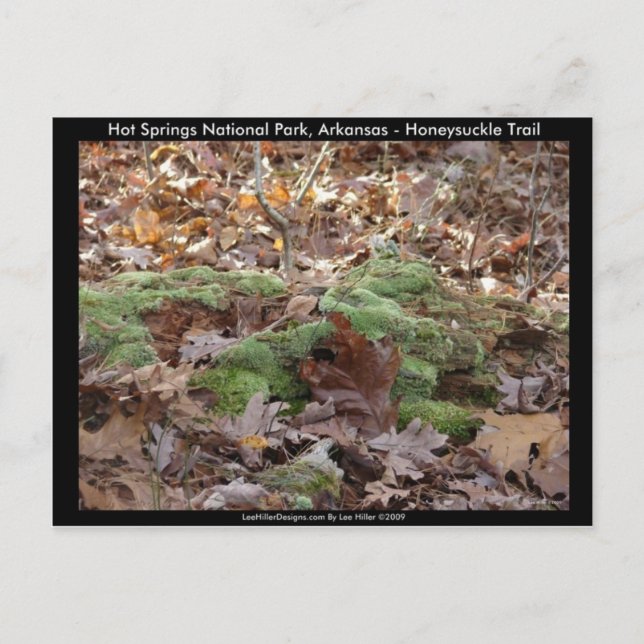 Hot Springs National Park, AR - Honeysuckle Trail Postcard (Front)