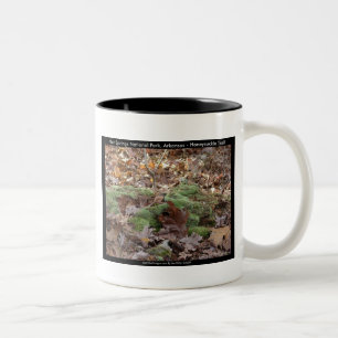 Hot Springs National Park, AR - Honeysuckle Trail Two-Tone Coffee Mug