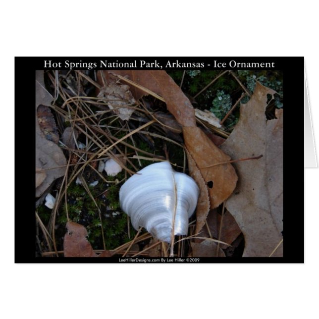 Hot Springs National Park, AR - Ice Ornament Gifts (Front Horizontal)