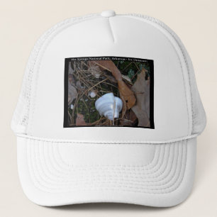 Hot Springs National Park, AR - Ice Ornament Gifts Trucker Hat