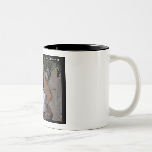 Hot Springs National Park, AR - Ice Ornament Gifts Two-Tone Coffee Mug (Right)