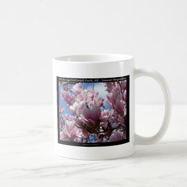 Hot Springs National Park AR Saucer Magnoia Gifts Coffee Mug (Right)