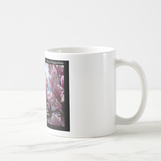 Hot Springs National Park AR Saucer Magnoia Gifts Coffee Mug (Right)