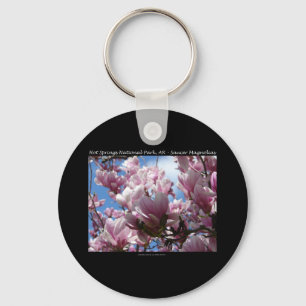 Hot Springs National Park AR Saucer Magnoia Gifts Key Ring