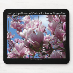 Hot Springs National Park AR Saucer Magnoia Gifts Mouse Mat