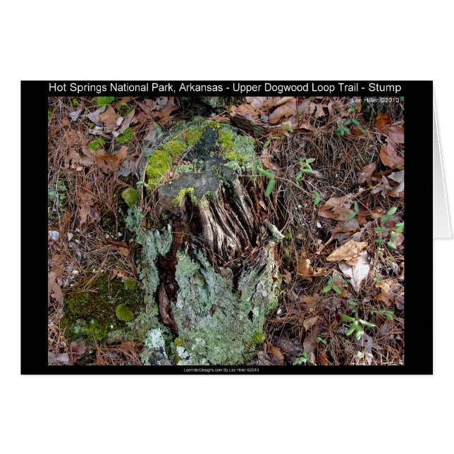 Hot Springs National Park, AR Upper Dogwood Loop (Front Horizontal)