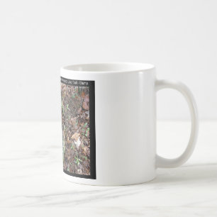 Hot Springs National Park, AR Upper Dogwood Loop Coffee Mug