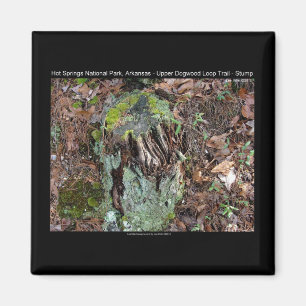 Hot Springs National Park, AR Upper Dogwood Loop Magnet