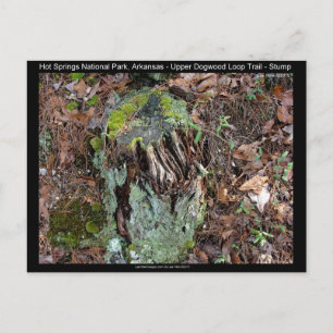Hot Springs National Park, AR Upper Dogwood Loop Postcard