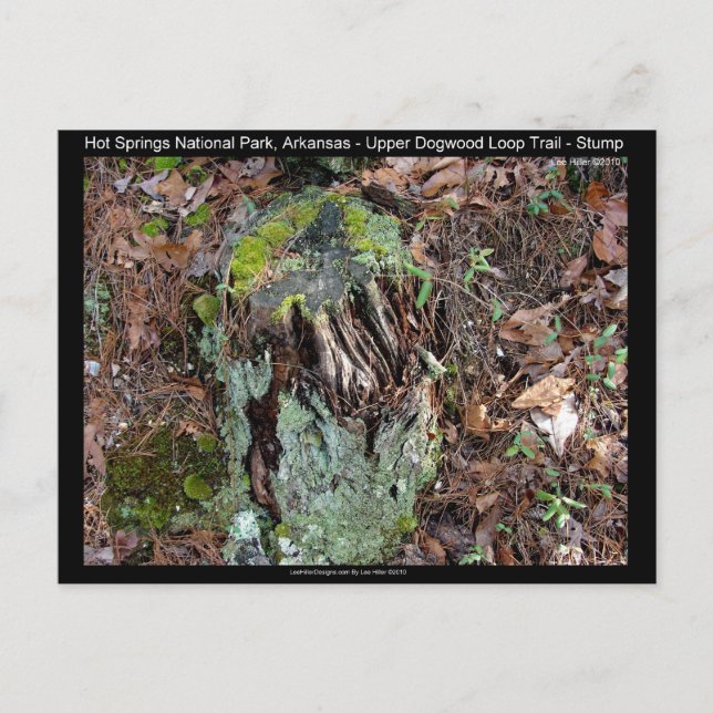 Hot Springs National Park, AR Upper Dogwood Loop Postcard (Front)