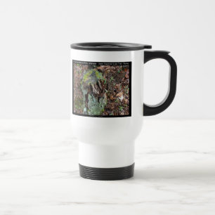 Hot Springs National Park, AR Upper Dogwood Loop Travel Mug