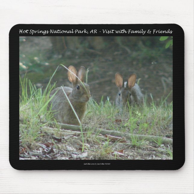 Hot Springs National Park, AR  Wild Rabbits Gifts Mouse Mat (Front)