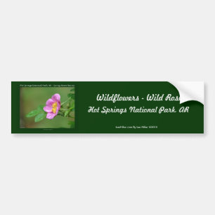 Hot Springs National Park, AR  Wild Rose Gifts Bumper Sticker
