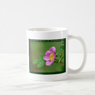 Hot Springs National Park, AR Wild Rose Gifts Coffee Mug