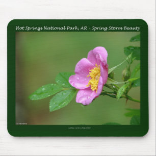 Hot Springs National Park, AR  Wild Rose Gifts Mouse Mat