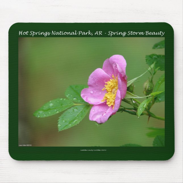 Hot Springs National Park, AR  Wild Rose Gifts Mouse Mat (Front)