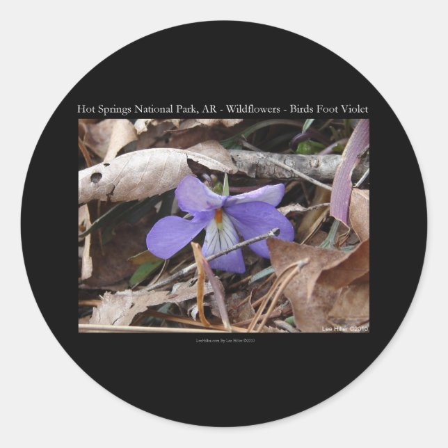 Hot Springs National Park, AR Wild Violets Gifts Classic Round Sticker (Front)