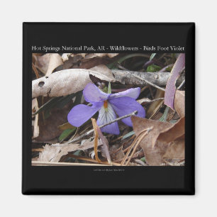 Hot Springs National Park, AR Wild Violets Gifts Magnet