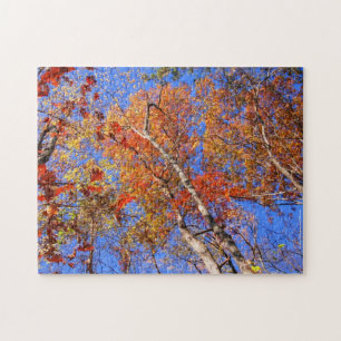 Hot Springs National Park Autumn Leaves Puzzle