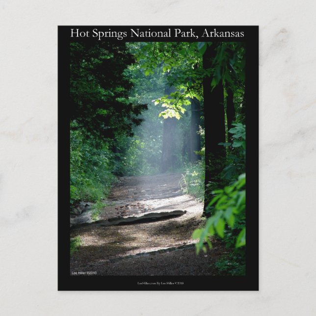 Hot Springs National Park Dead Chief Trail Gifts Postcard (Front)