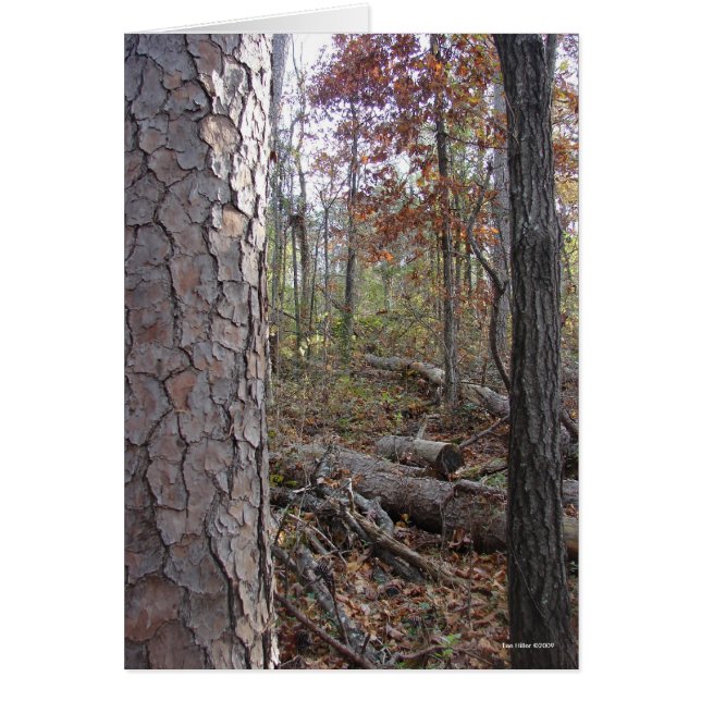 Hot Springs National Park Mt., AR Peak Trail (Front)