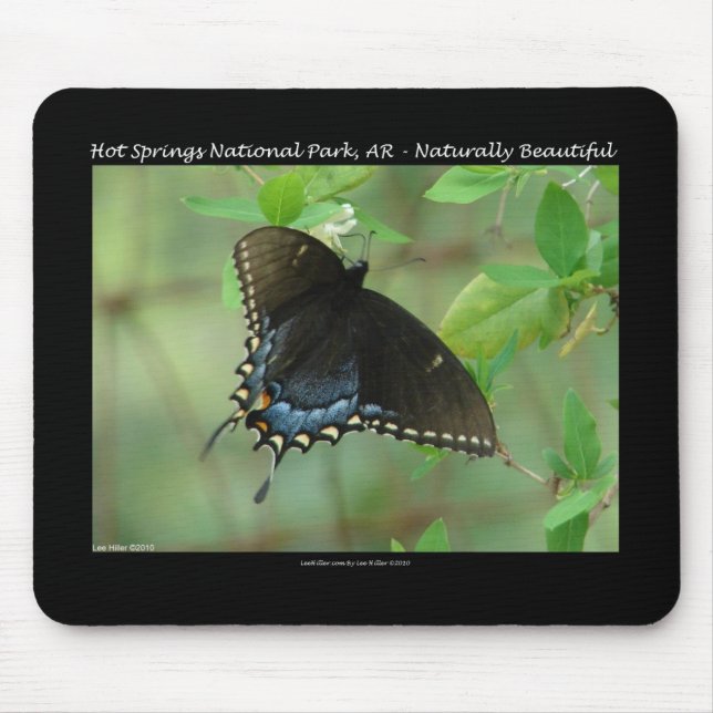 Hot Springs National Park Swallowtail Butterfly Mouse Mat (Front)