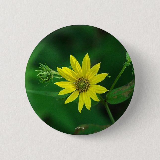 Hot Springs National Park Woodland Sunflower Gifts 6 Cm Round Badge (Front)