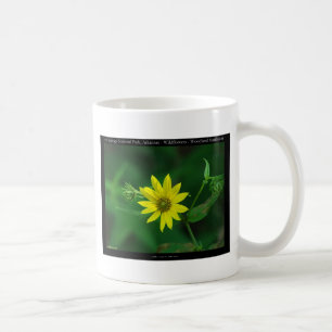 Hot Springs National Park Woodland Sunflower Gifts Coffee Mug