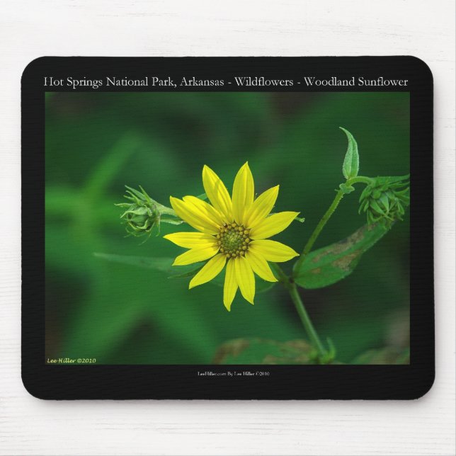 Hot Springs National Park Woodland Sunflower Gifts Mouse Mat (Front)