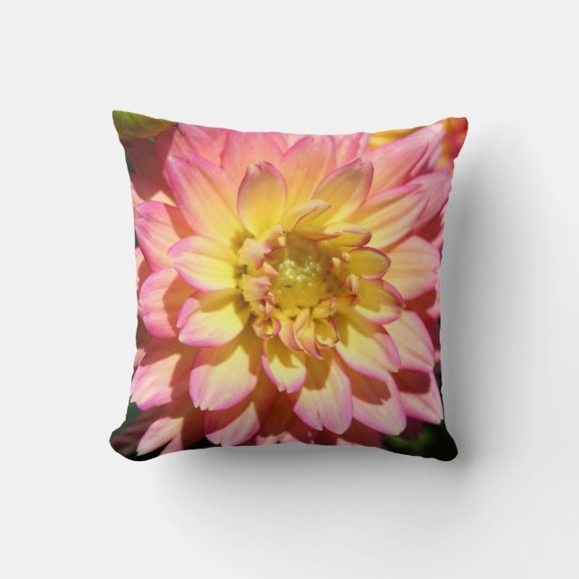 Hot yellow pink Dahlia Flower Cushion (Front)