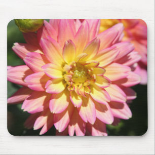 Hot yellow pink Dahlia Flower Mouse Mat