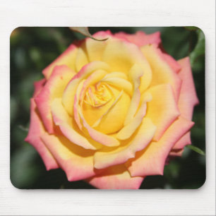 Hot yellow pink Rose Flower Mouse Mat