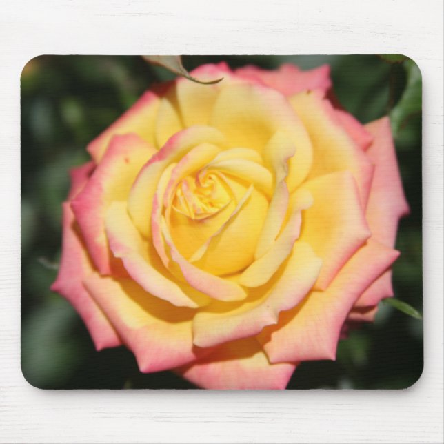 Hot yellow pink Rose Flower Mouse Mat (Front)