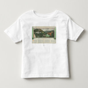 Hotel Colorado Brochure Toddler T-Shirt